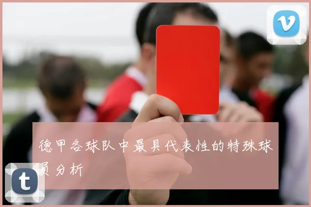 德甲各球队中最具代表性的特殊球员分析
