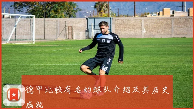 德甲比较有名的球队介绍及其历史成就